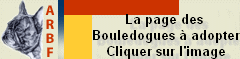 adoptez-les